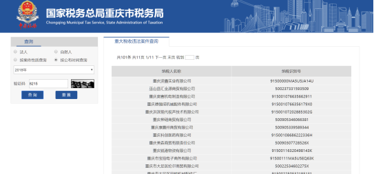 录入纳税人识别码及验证码等信息