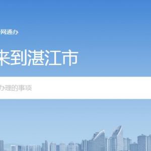 湛江市政务服务网入口及事项办理操作指南