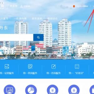 丹东市政务服务网入口及网上申报操作指南