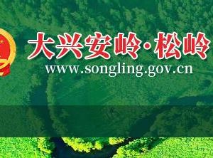 大兴安岭松岭区政务服务中心办事大厅窗口预约咨询电话