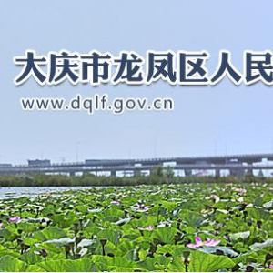 大庆市龙凤区政务服务中心办事大厅窗口预约咨询电话