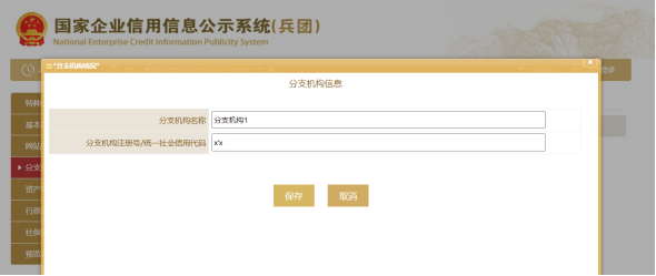 填写分支机构情况信息