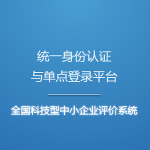 科技型中小企业信息表（模板）