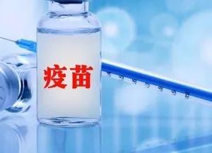 靖宇县新冠病毒疫苗接种点及预约咨询电话