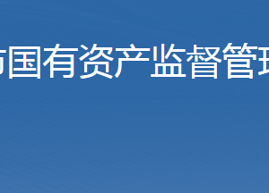 石家庄市人民政府国有资产监督管理委员会各部门联系电话