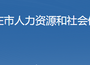 石家庄市人力资源和社会保障局各部门对外联系电话