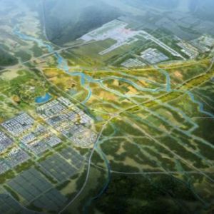北京大兴国际机场临空经济区（廊坊）管委会各部门联系电话