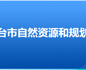 邢台市自然资源和规划局各部门对外联系电话