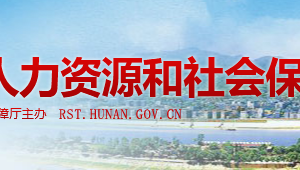 湖南省企业职工基本养老保险单位信息标识维护操作指南