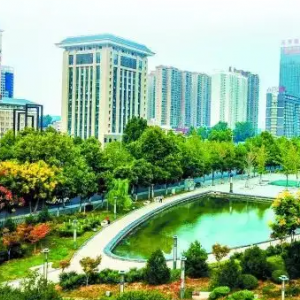洛阳市洛龙区科技园街道办事处各部门对外联系电话