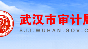 武汉市审计局各部门对外联系电话