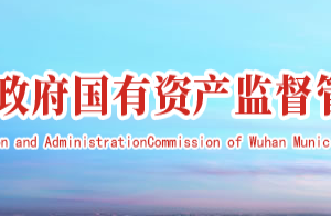 武汉市人民政府国有资产监督管理委员会各部门联系电话