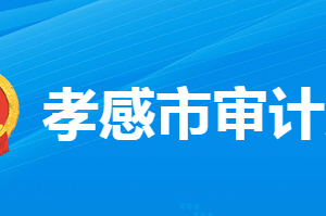 孝感市审计局各部门工作时间及联系电话