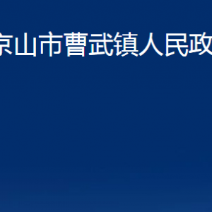 京山市曹武镇人民政府各部门联系电话及地址