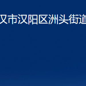 武汉市汉阳区洲头街道各事业单位联系电话