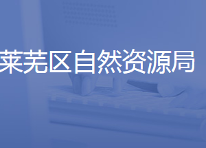 济南市莱芜区自然资源局各部门对外联系电话