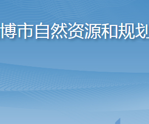 淄博市自然资源和规划局各部门对外联系电话