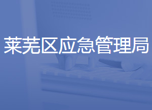 济南市莱芜区应急管理局各部门对外联系电话