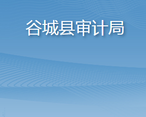 谷城县审计局各部门联系电话及办公地址