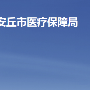 安丘市医疗保障局各部门职责及联系电话