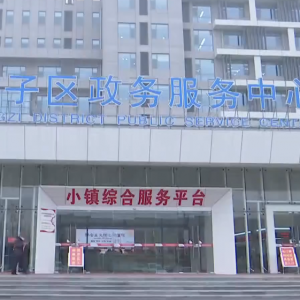 潍坊市坊子区政务服务中心办事大厅窗口工作时间及联系电话