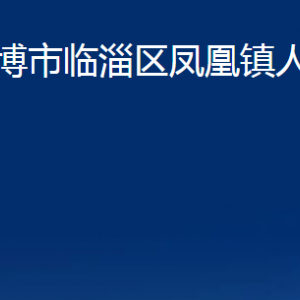 淄博市临淄区凤凰镇人民政府各部门对外联系电话