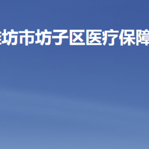 潍坊市坊子区医疗保障局各部门职责及联系电话