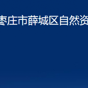 枣庄市薛城区自然资源局各部门对外联系电话