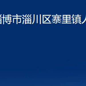 淄博市淄川区寨里镇人民政府各服务中心联系电话