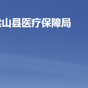 梁山县医疗保障局各部门职责及联系电话