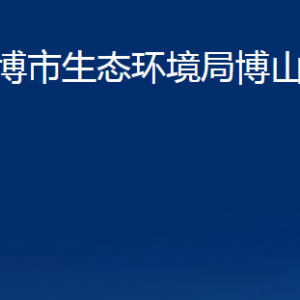 淄博市生态环境局博山分局各服务中心对外联系电话