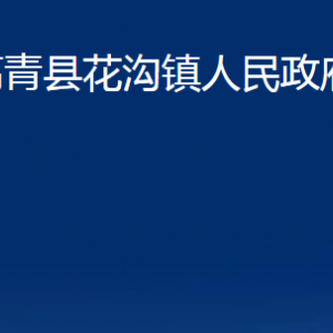 高青县花沟镇人民政府各部门对外联系电话