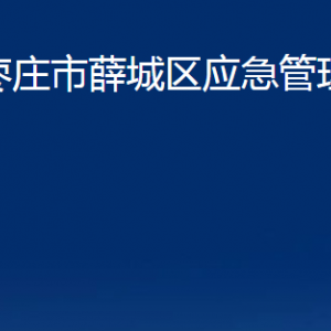 枣庄市薛城区应急管理局各部门对外联系电话