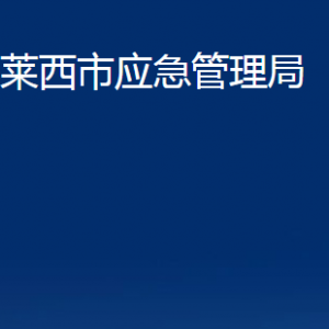 莱西市应急管理局各部门对外联系电话