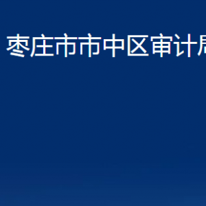 枣庄市市中区审计局各部门对外联系电话