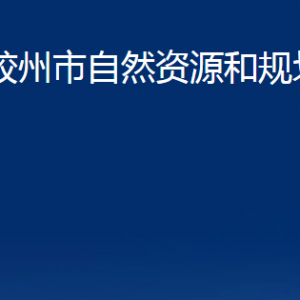 胶州市自然资源和规划局各部门办公时间及联系电话