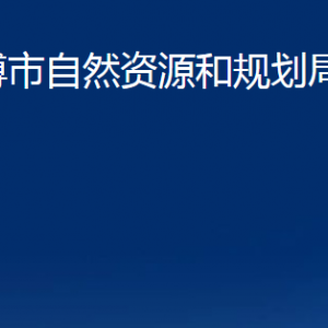 淄博市自然资源和规划局张店分局各部门联系电话