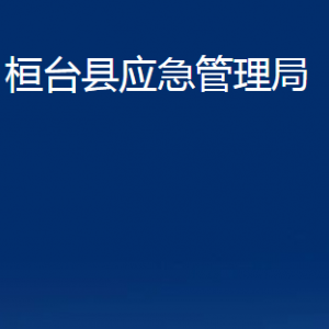 桓台县应急管理局各部门对外联系电话