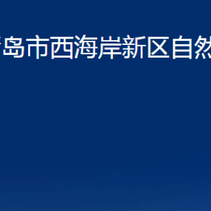 青岛市西海岸新区自然资源局各部门办公时间及联系电话