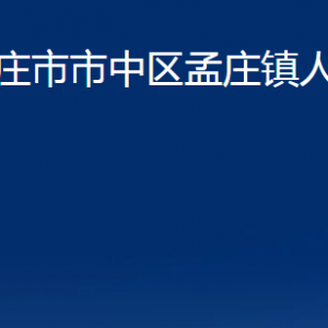 枣庄市市中区孟庄镇人民政府各部门对外联系电话