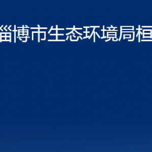 淄博市生态环境局桓台分局各部门对外联系电话