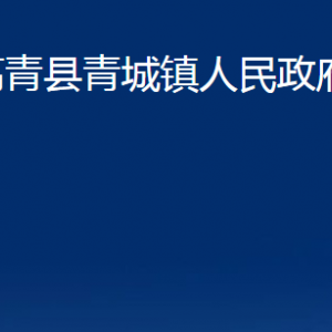 高青县青城镇人民政府各部门对外联系电话