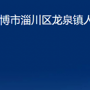 淄博市淄川区龙泉镇人民政府各服务中心联系电话