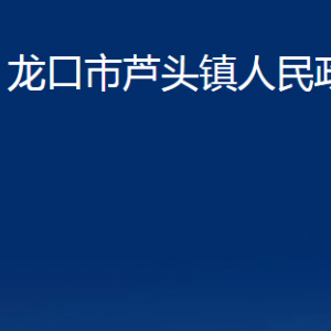 龙口市芦头镇政府各职能对外联系电话