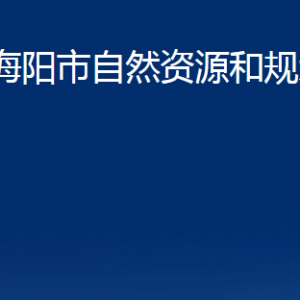 海阳市自然资源和规划局各部门对外联系电话