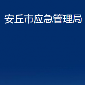 安丘市应急管理局各部门对外联系电话