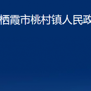 栖霞市桃村镇政府各部门对外联系电话