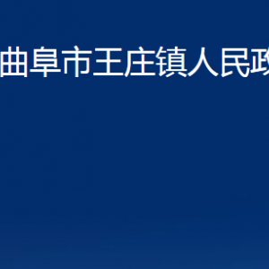 曲阜市王庄镇政府为民服务中心联系电话及地址