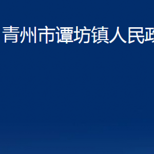 青州市谭坊镇政府各部门对外联系电话