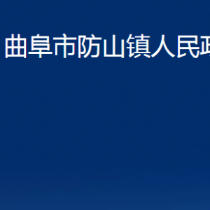 曲阜市防山镇政府为民服务中心联系电话及地址